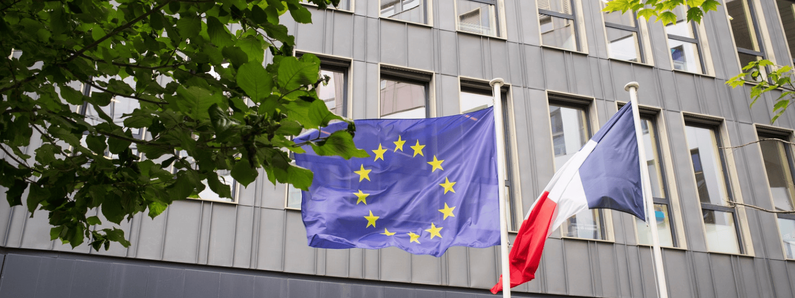 Alternance en communication « Coordination et animation du réseau des Ambassadeurs Erasmus+ » 12 à 24 mois - H/F