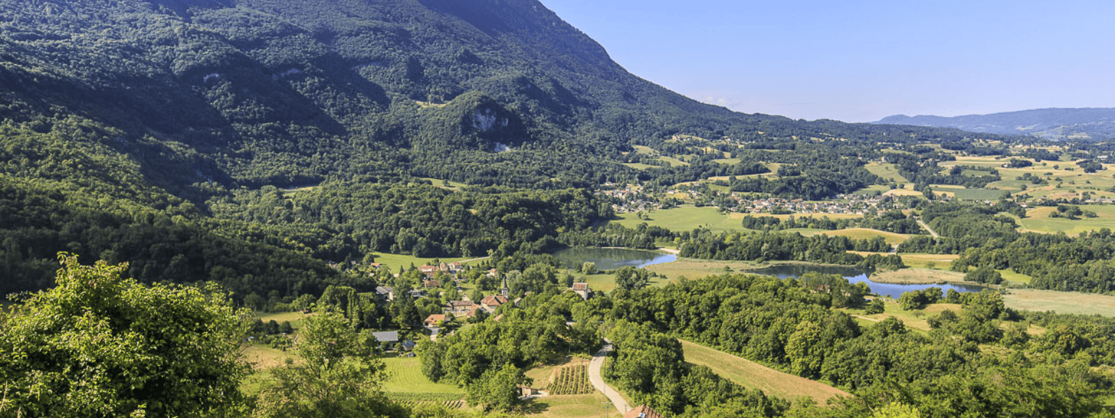 Directeur général adjoint (F/H)