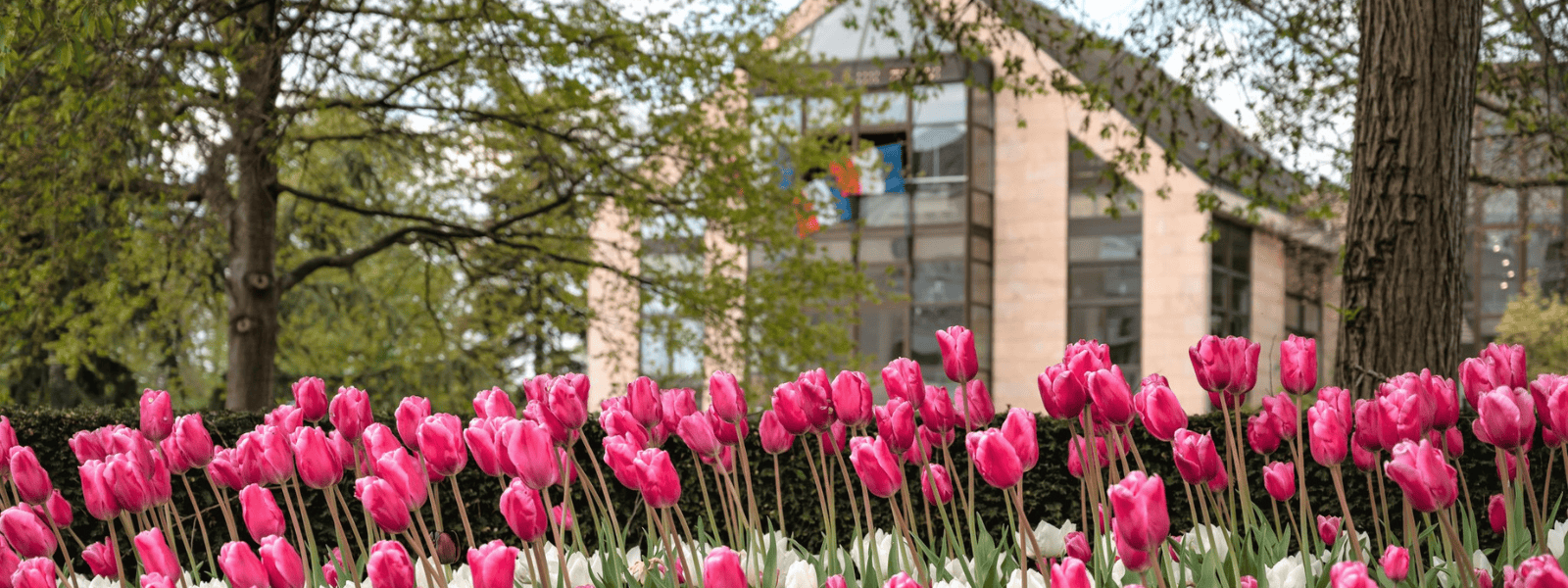 Directeur de la Résidence Autonomie Pierre Bérégovoy F/H