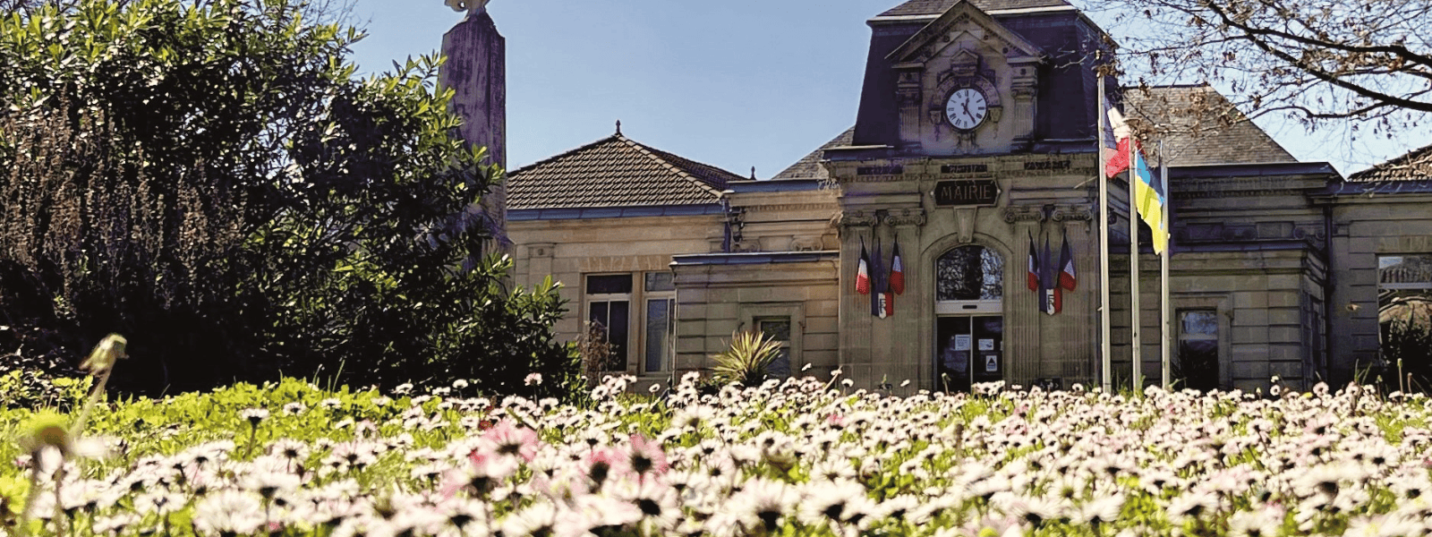 Auxiliaire de Vie Sociale - F/H