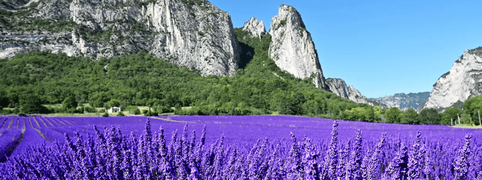 Agent en charge de la logistique F/H